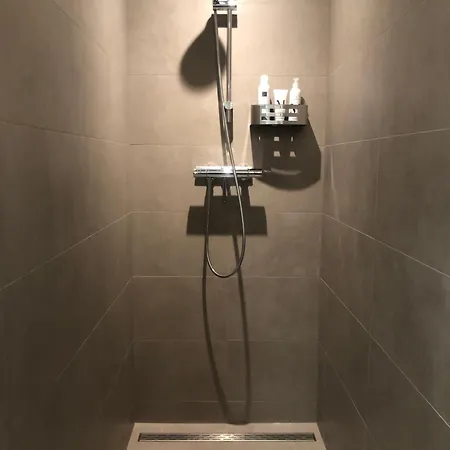 Alexander 마스트리흐트