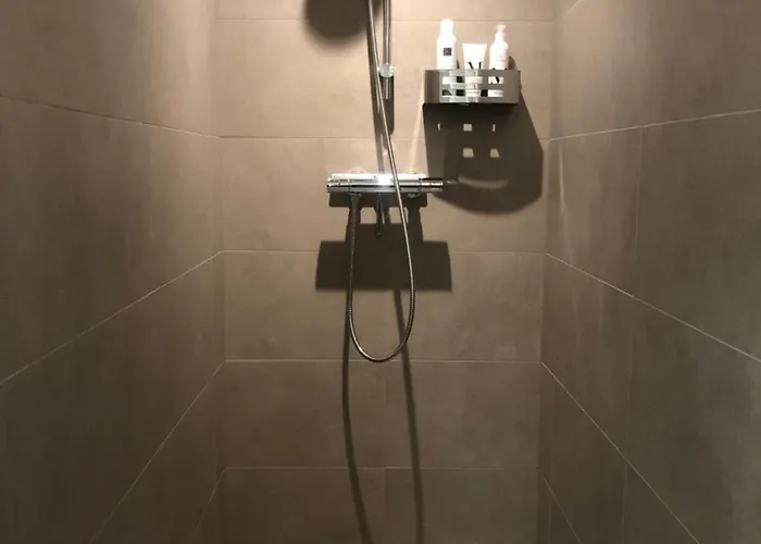 Alexander Maastricht